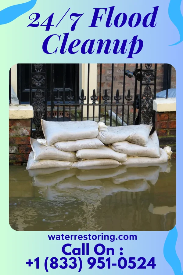24/7 Flood Cleanup in Briarwood, ND