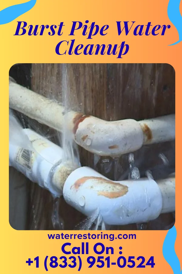 Burst Pipe Water Cleanup in Briarwood, ND