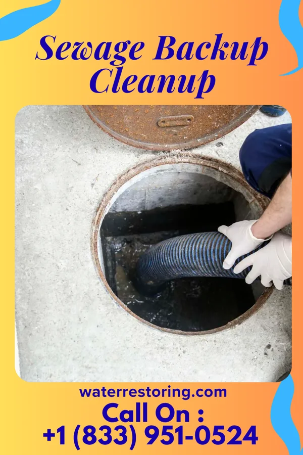 Sewage Backup Cleanup in Briarwood, ND
