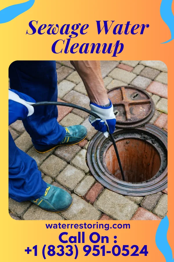 Sewage Water Cleanup in Briarwood, ND